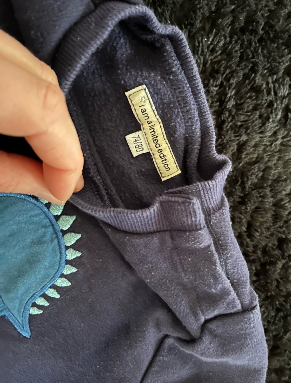 Dino Pullover gr 74