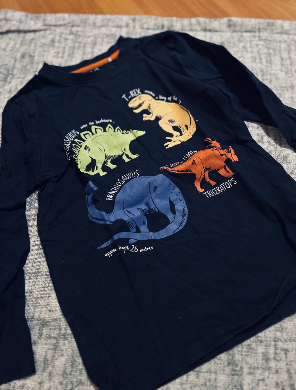 Langarmshirt