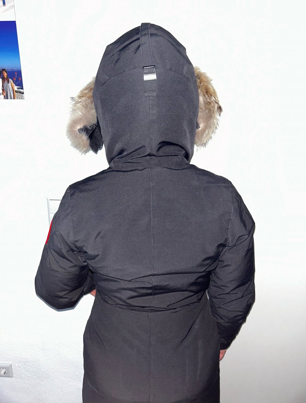 Canada Goose