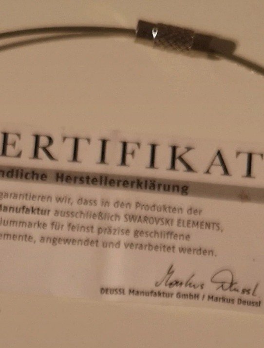 Ohrringe und Halsring