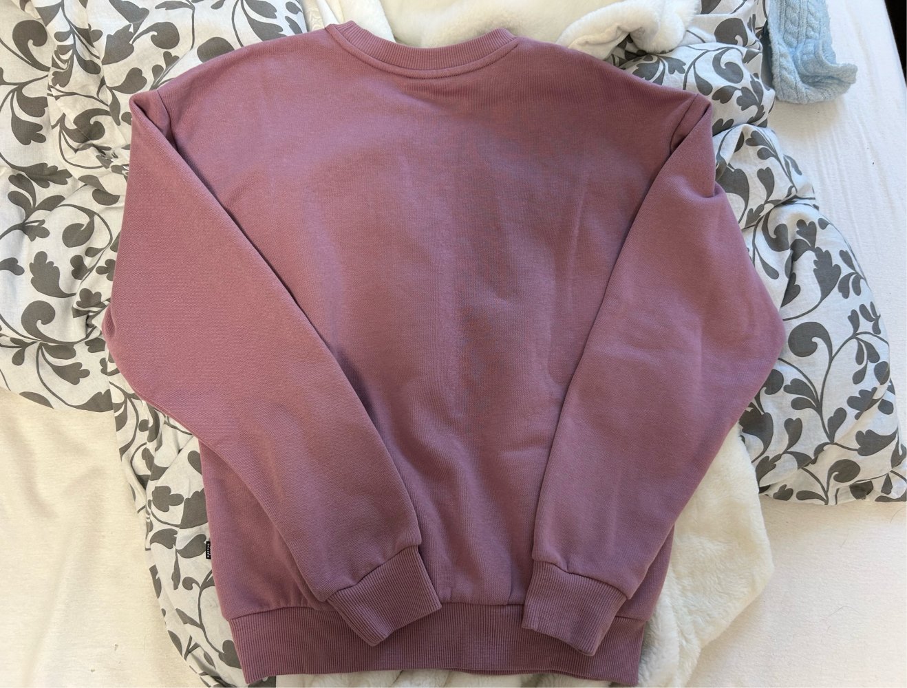 Puma Pulli