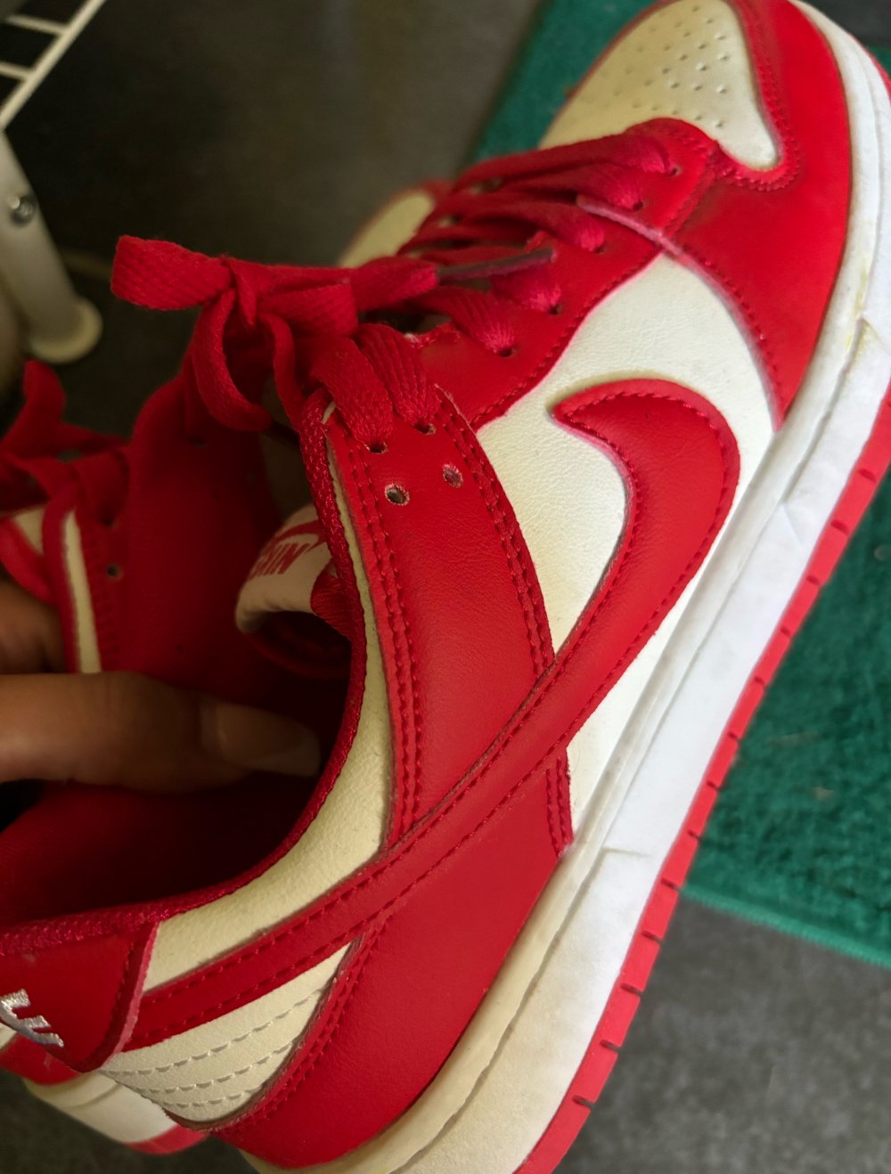 Nike Dunks Rot