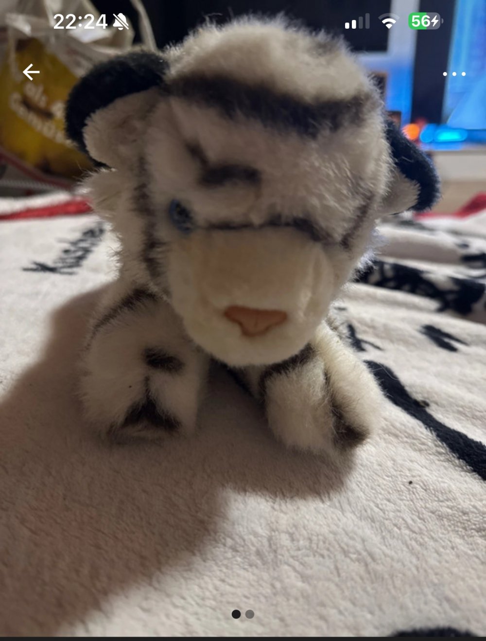 Kuscheltier