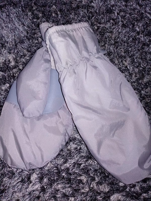 DDR Fausthandschuhe grau