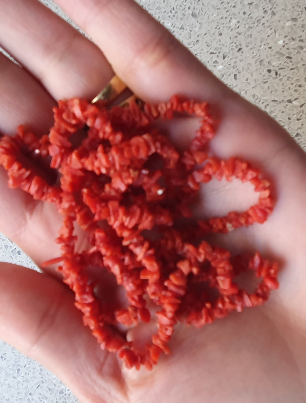 Echte Korallen  Kette