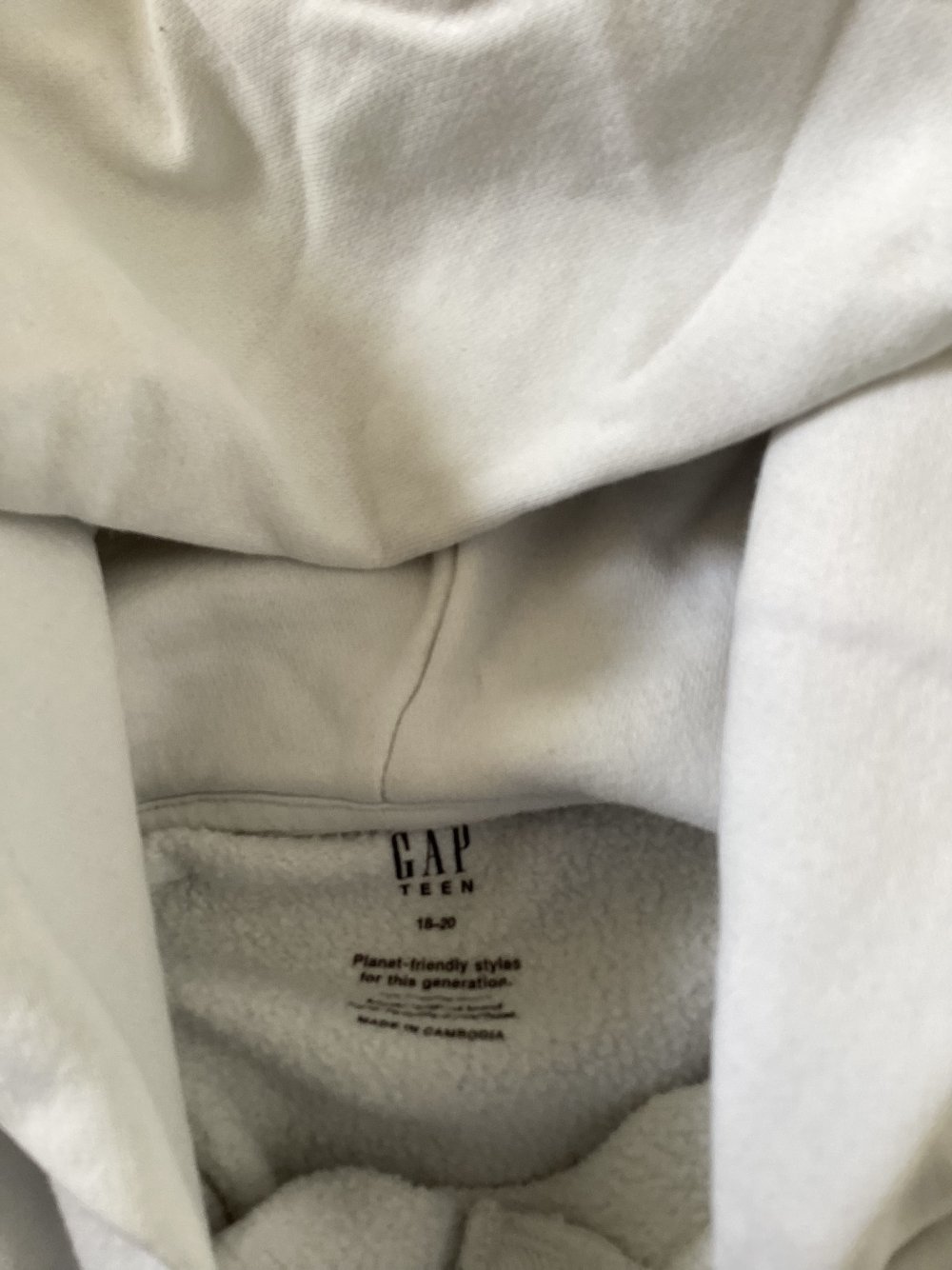 GAP Hoodie