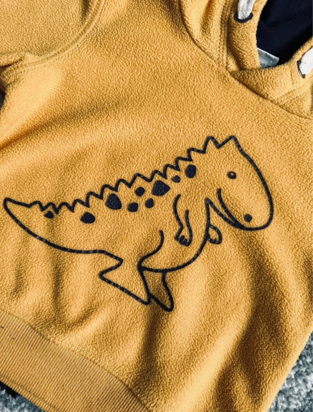 Dino Hoodie