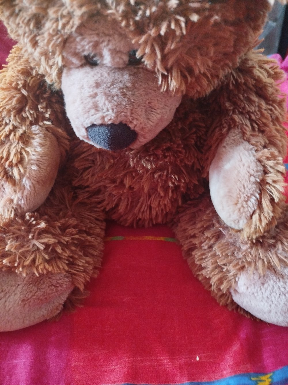  Teddybär Gratis von Sellonclick