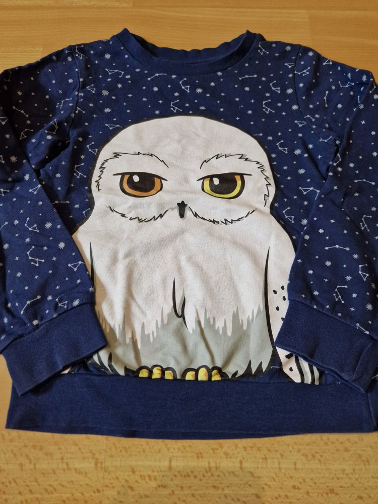 Harry Potter Pulli