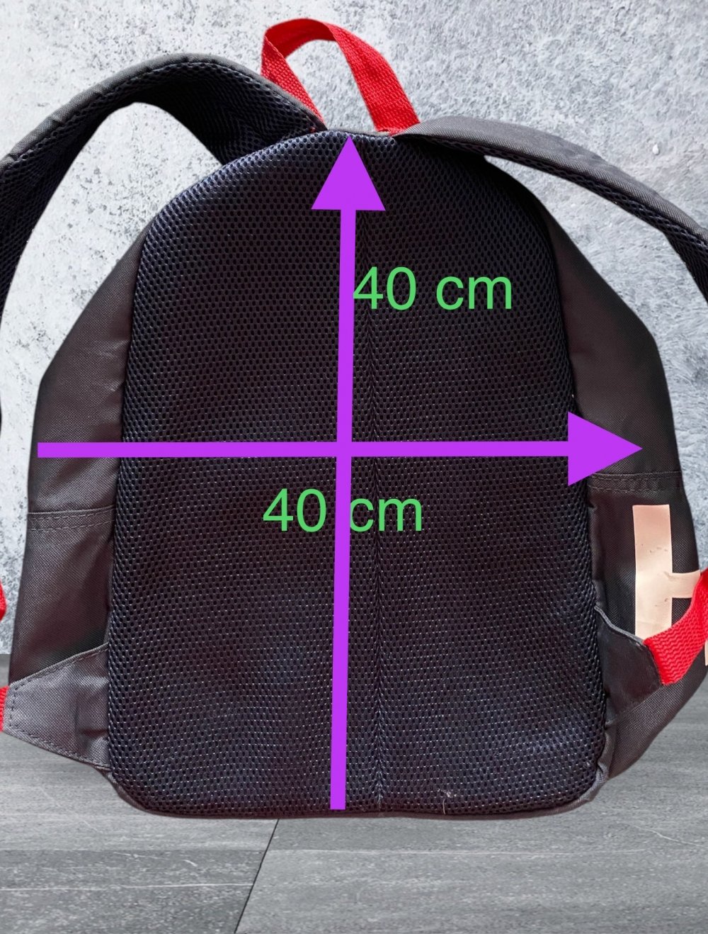 HENRI LLOYD Rucksack in Rot/Marineblau