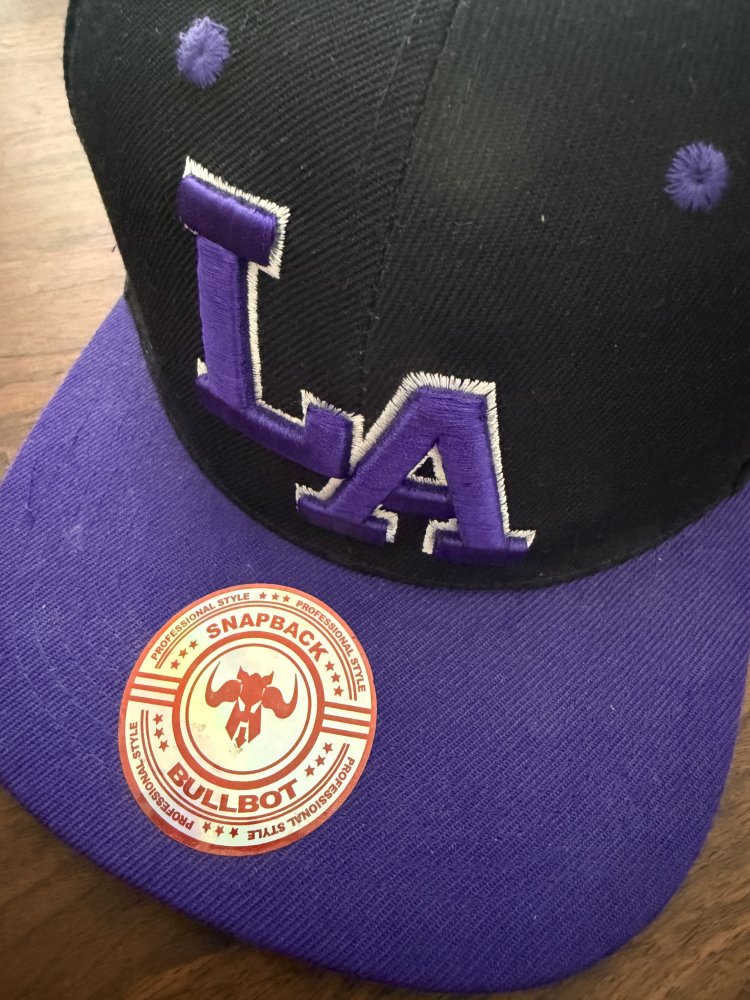 Bullbot SnapBack LA black/purple