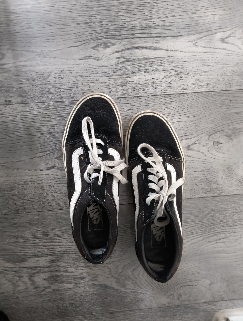 Vans Sneaker