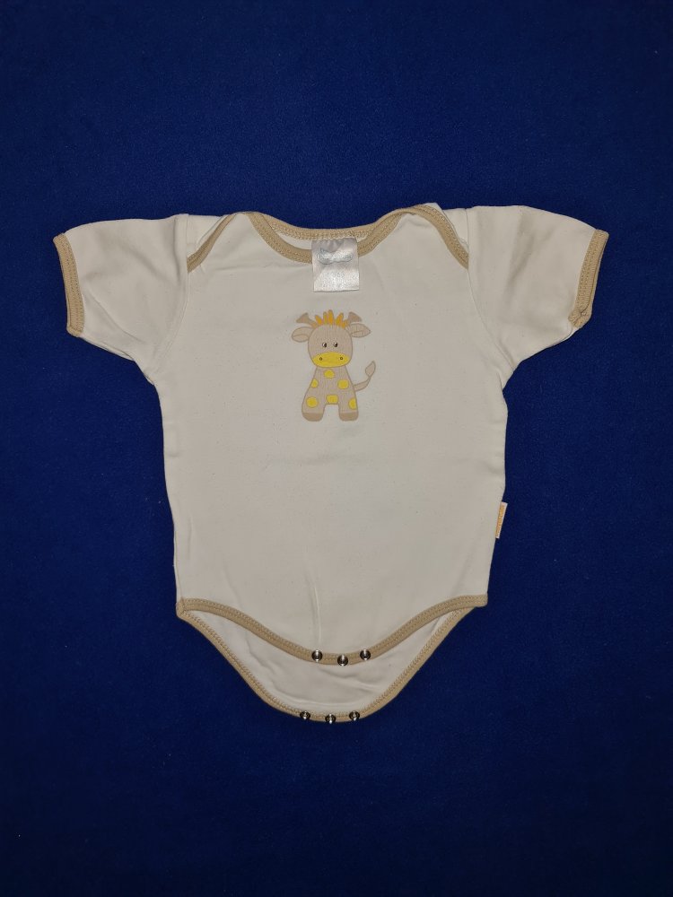 Kurzarmbody, Babydream, Größe 62/68
