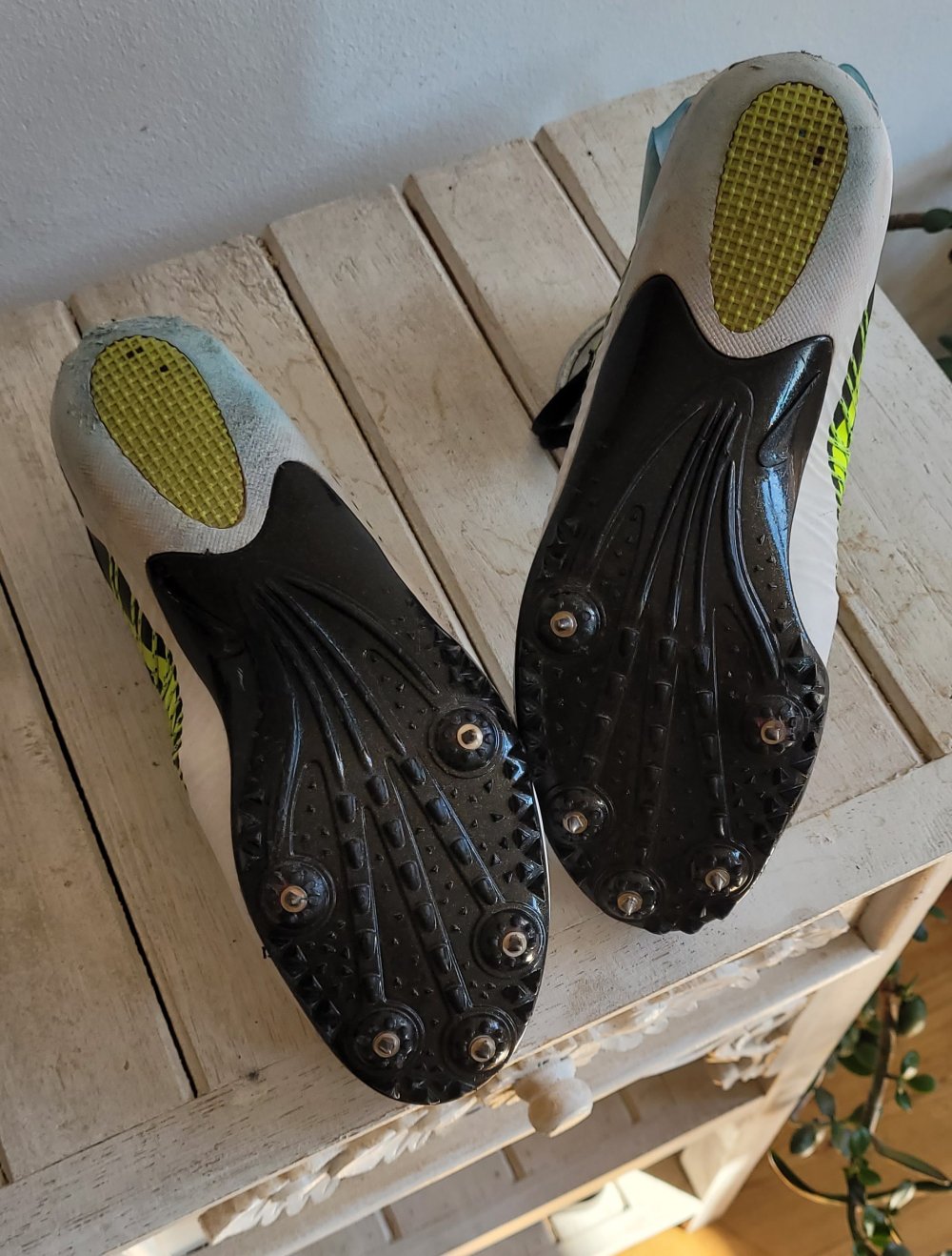 Laufschuhe Nike m. Spikes Gr. 40  Leichtathletik