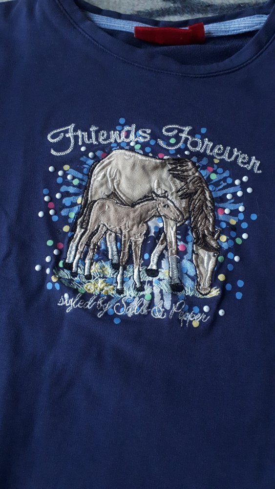 Blauer Pullover mit Pferden Friends Forever 104/110