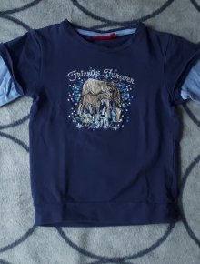 Blauer Pullover mit Pferden Friends Forever 104/110