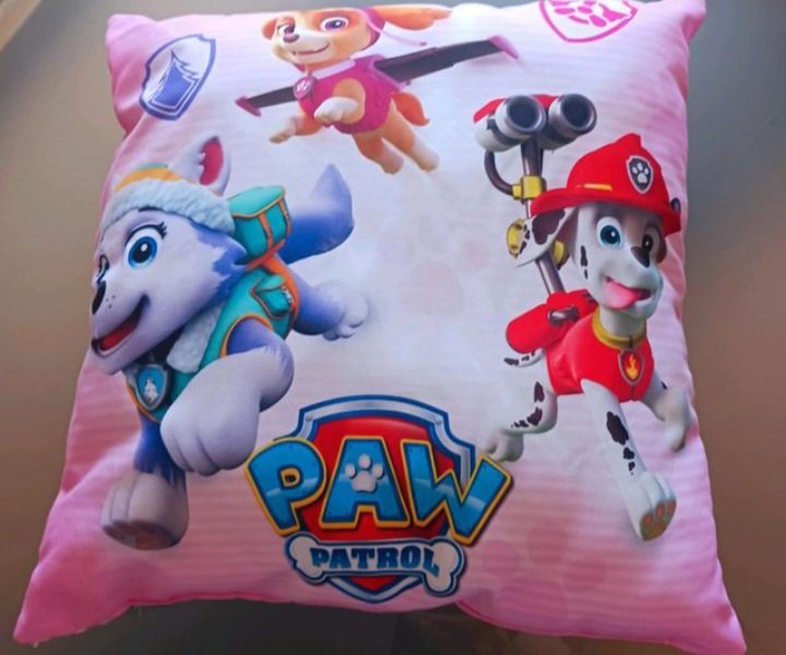 Wie neu ~ Paw Patrol Kissen, Gr.40x40, für Mädchen