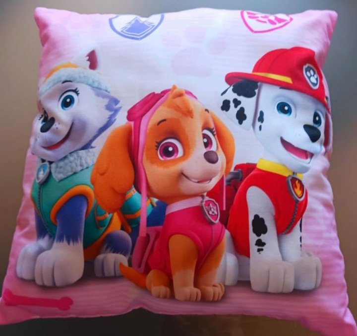 Wie neu ~ Paw Patrol Kissen, Gr.40x40, für Mädchen
