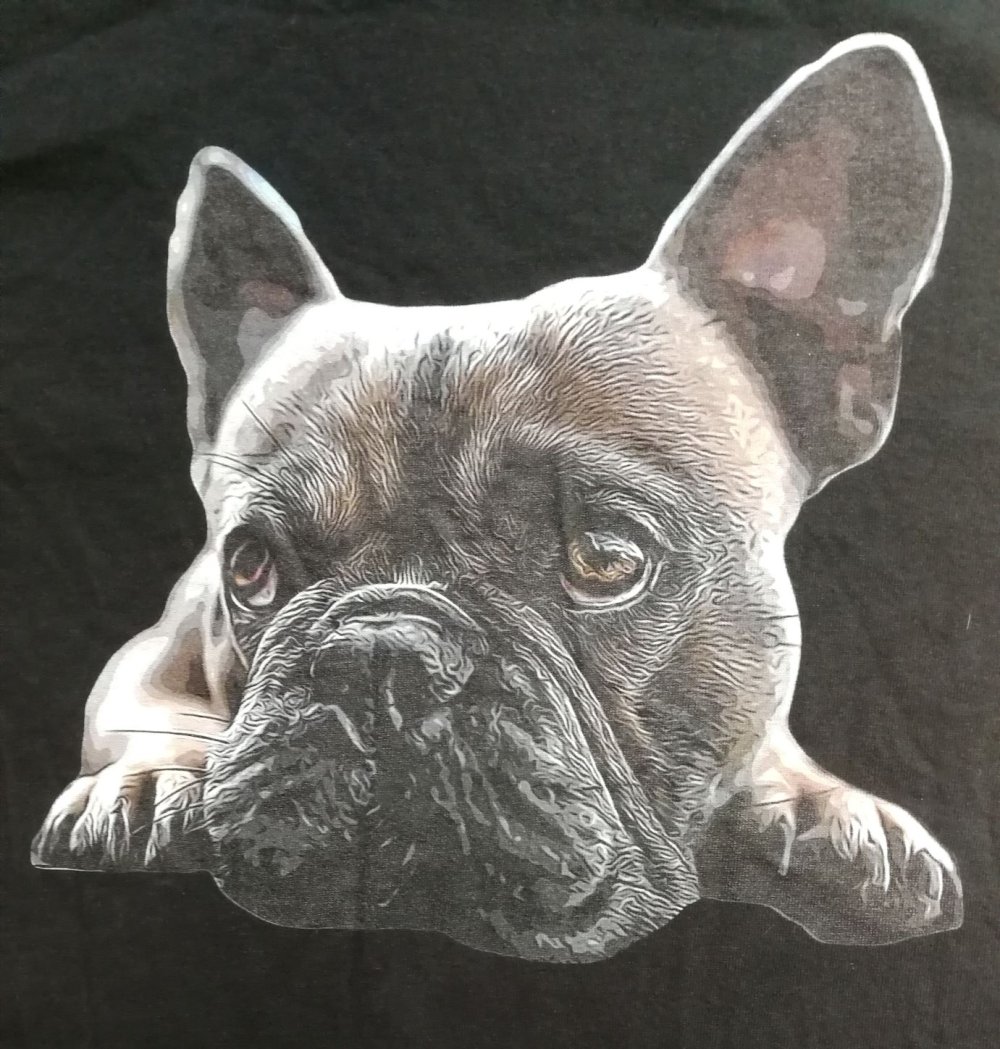 T-Shirt Hund Frenchie Bully Kunstdruck French Bulldog Baumwollshirt