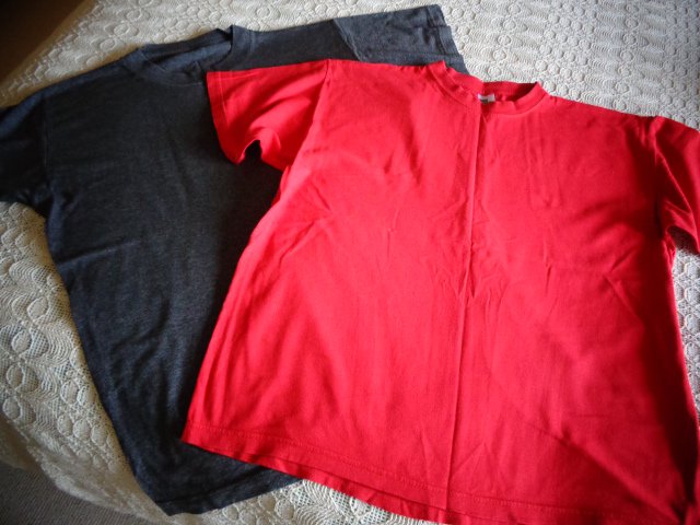 #T-Shirts Shirts 2 Stück Gr. 164 für Mädchen oder Jungen