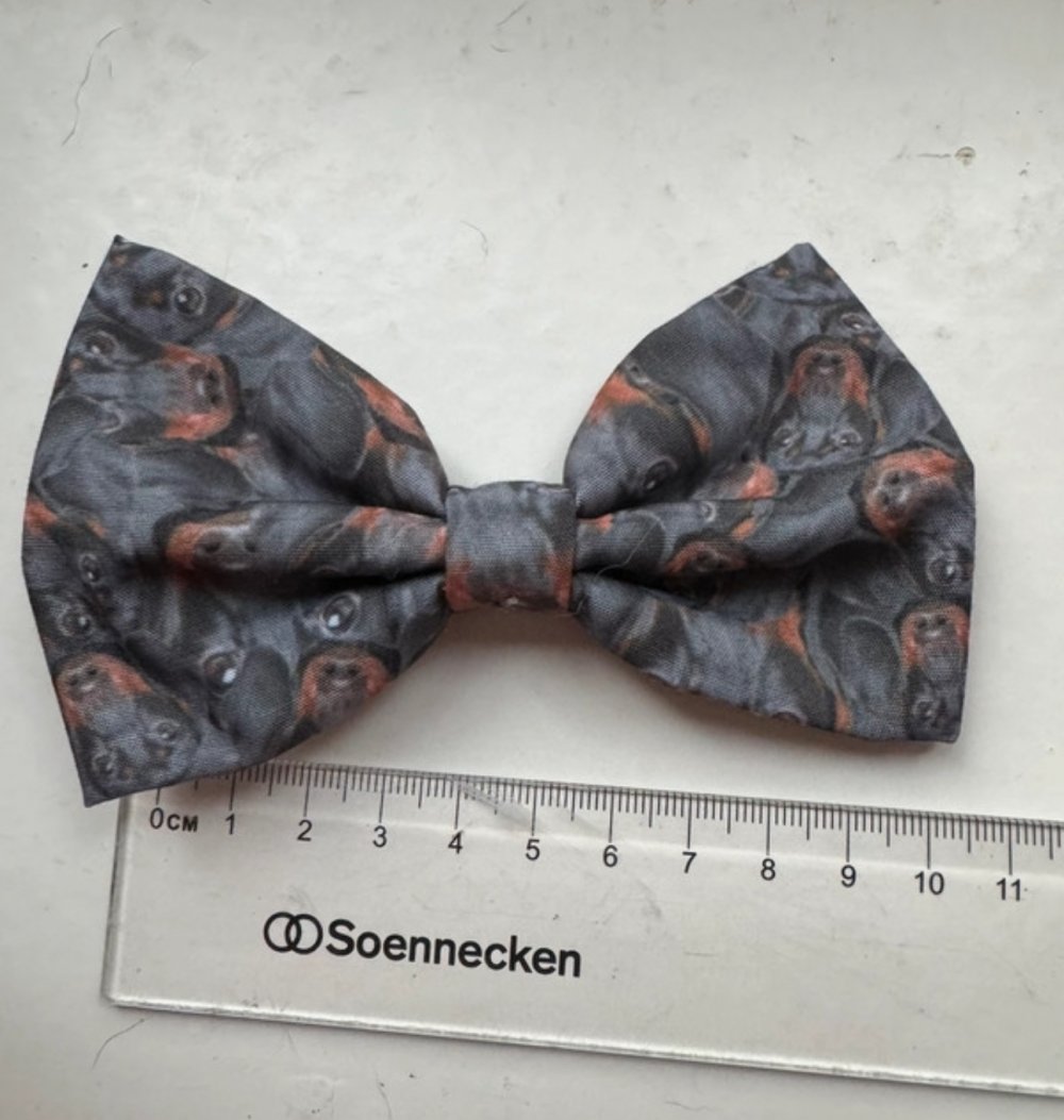Dackel haarschleife