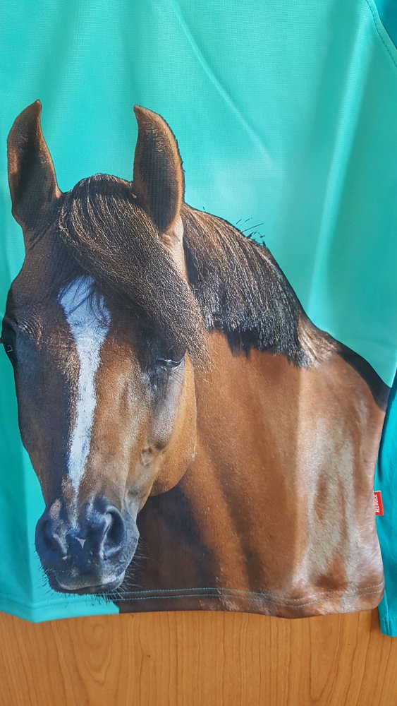 ungetragenes Langarmshirt in Gr. 164 von Red Horse (nur gewaschen)