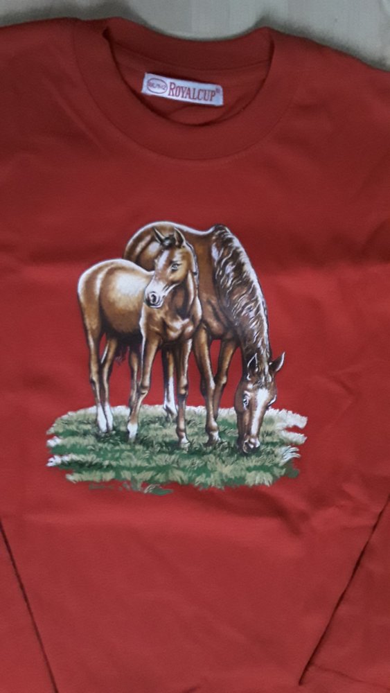 neues ungetragenes Langarmshirt (rot) mit Pferdemotiv in Gr. 164/170