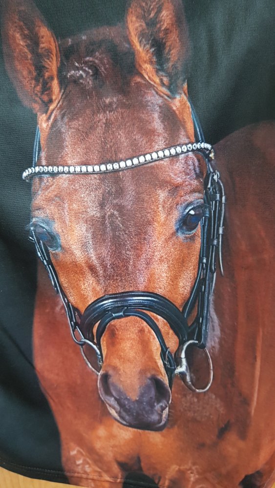 schwarzes, ungetragenes Langarmshirt in Gr. 152 von Red Horse (nur gewaschen)