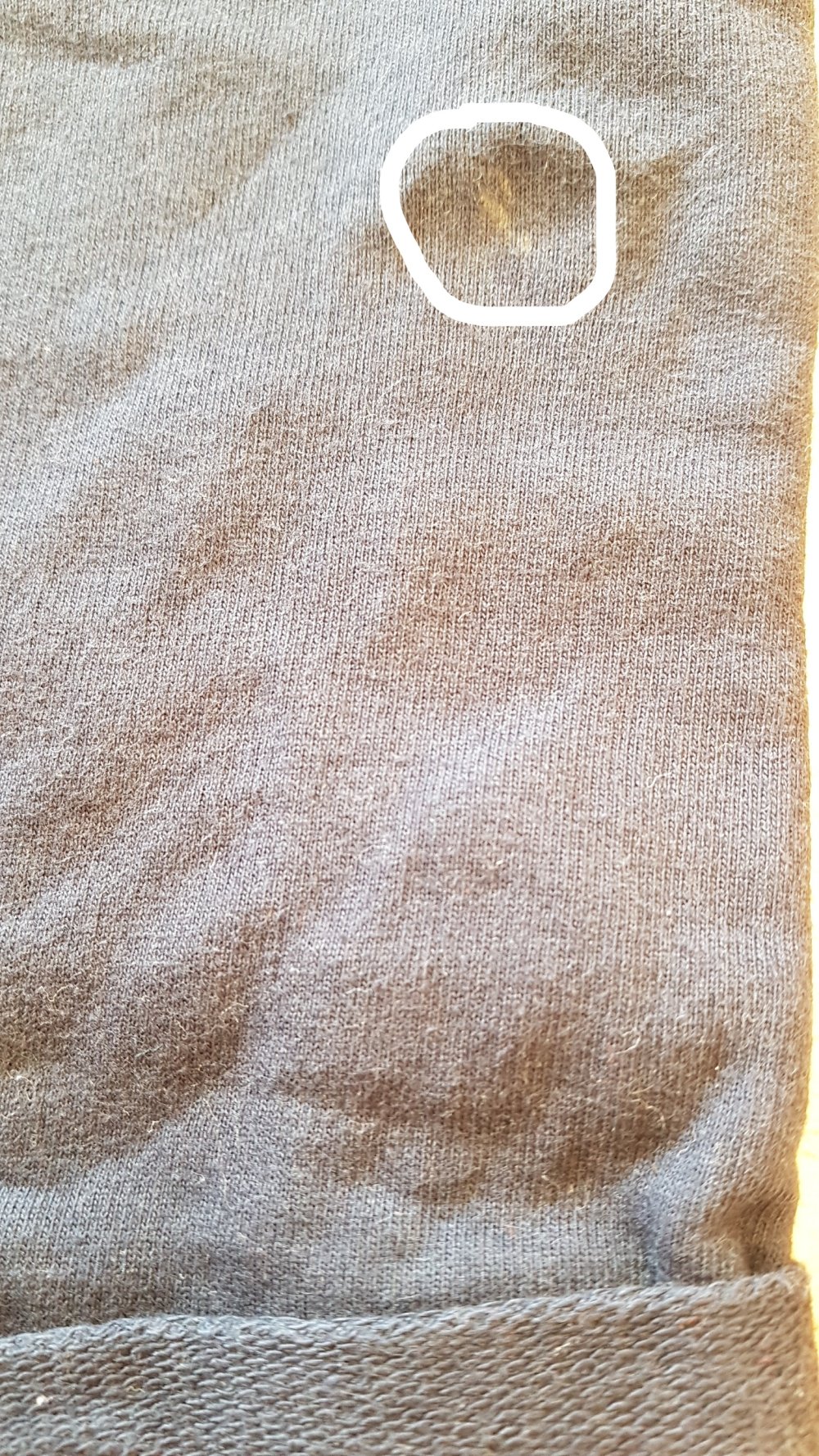 blaue kurze Hose / Shorts in Gr. 86 von bon Prix