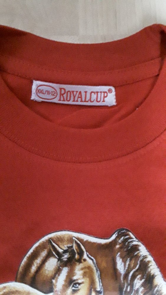 neues ungetragenes Langarmshirt (rot) mit Pferdemotiv in Gr. 164/170