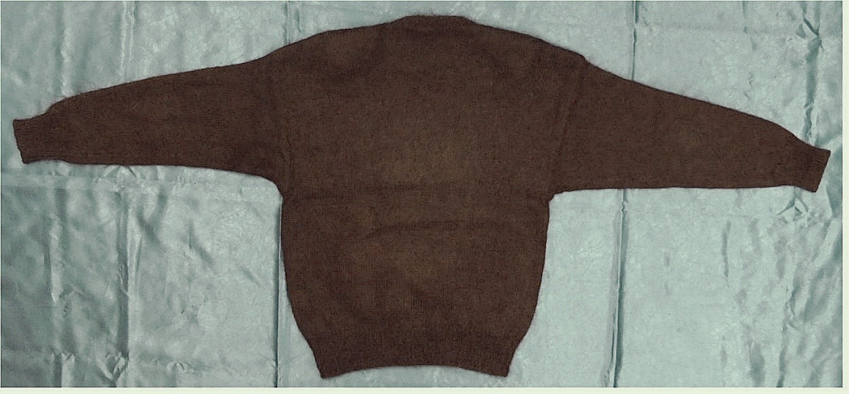 Pullover mit gesticktem Hundemotiv - 80 % Mohair - Von signe incognito - Größe 44/46