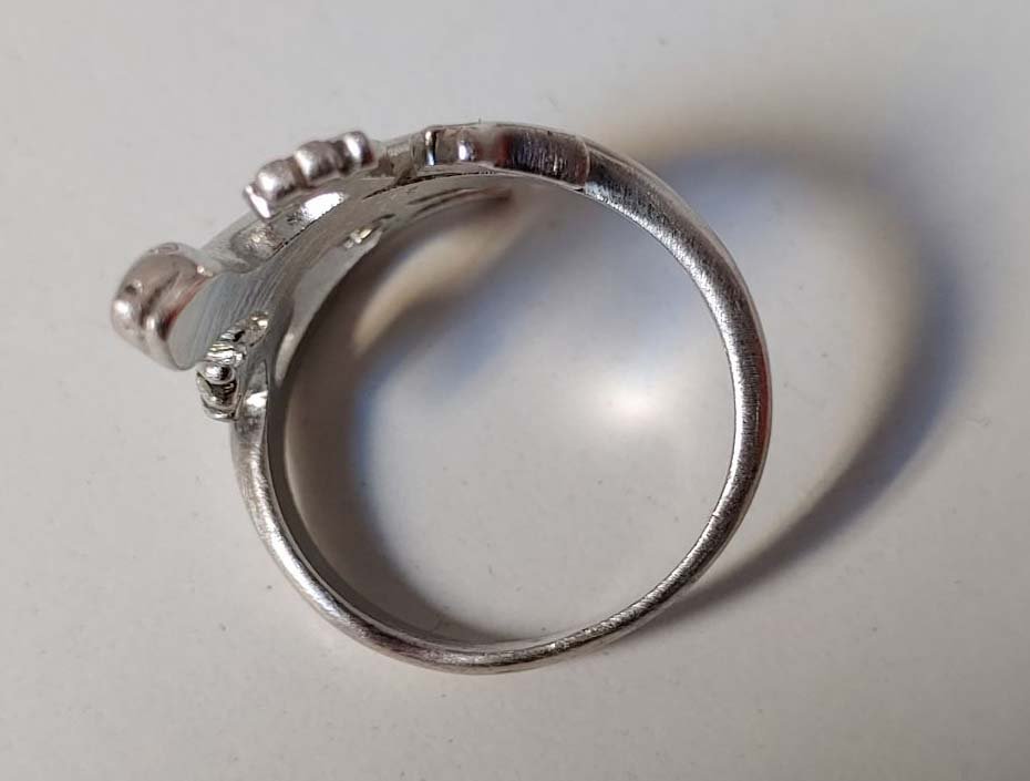 Ring in Eidechse