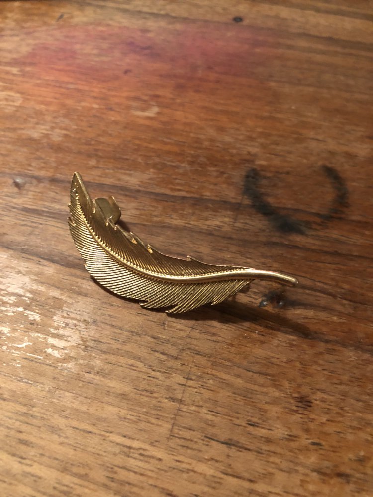 Goldener Ohrring in Federform