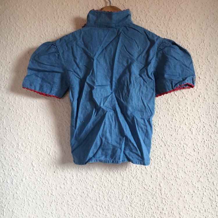 Trachten Shirt (110)