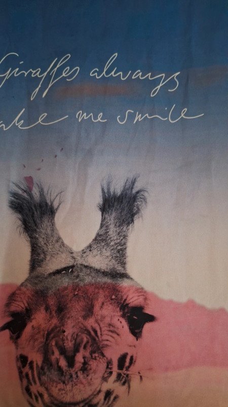 Shirt Giraffe
