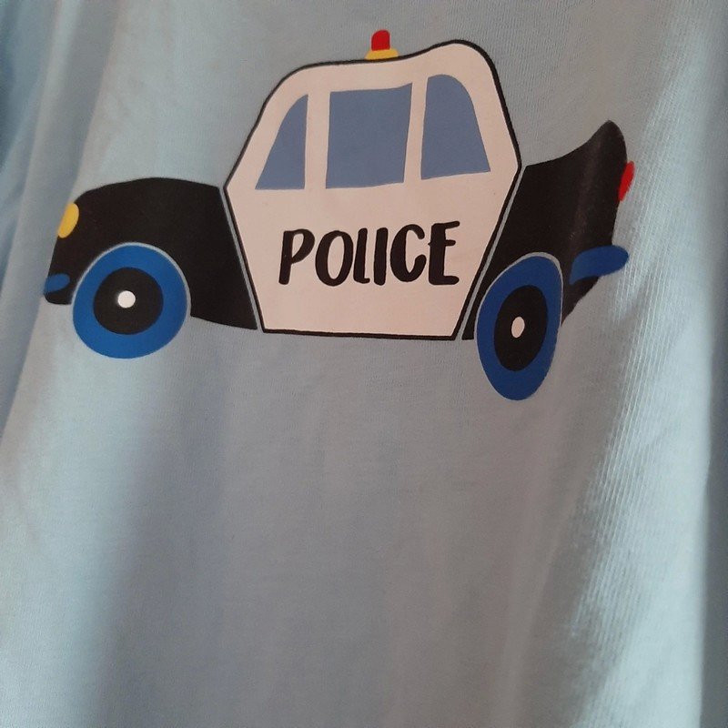 Hellblauer Pulli (Police)