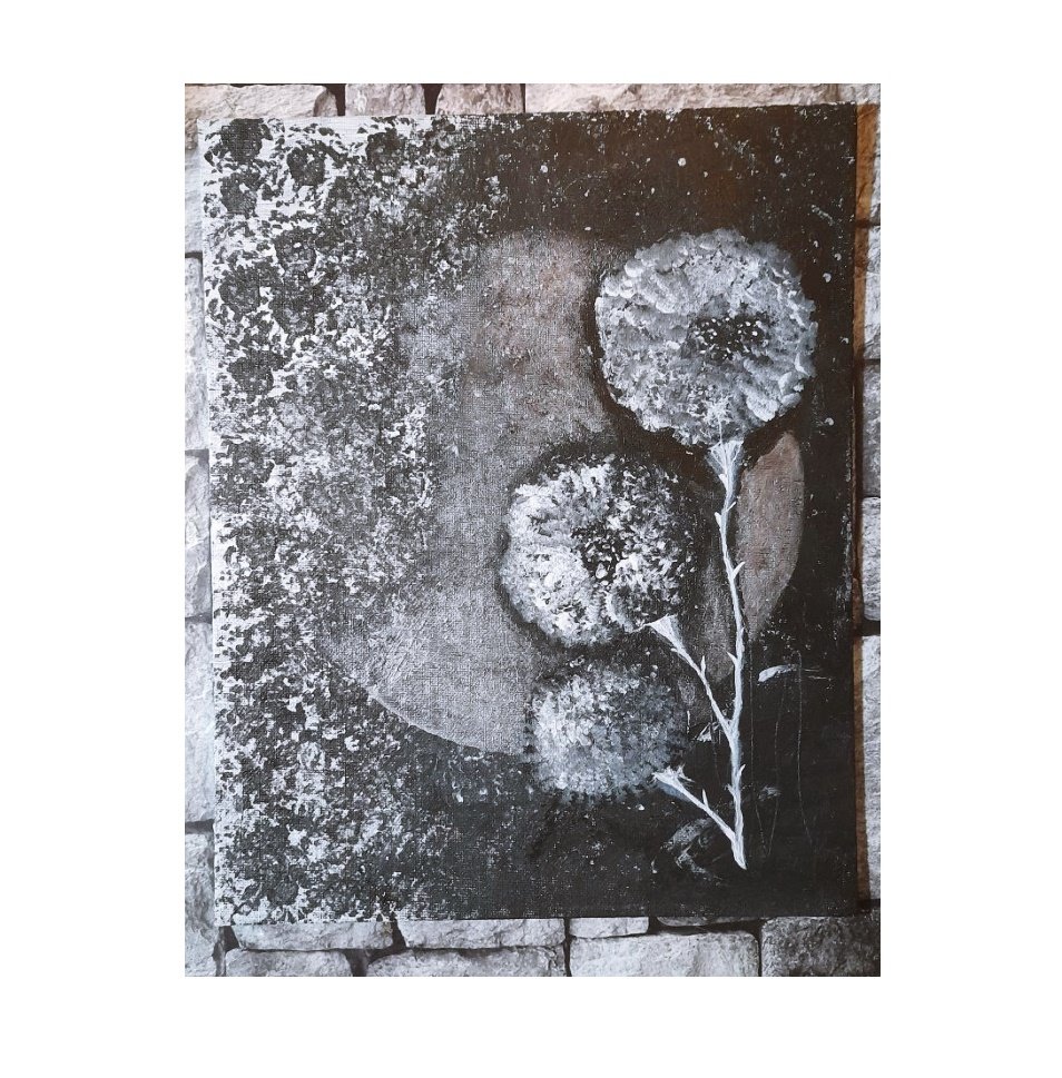 Pusteblumen Bild