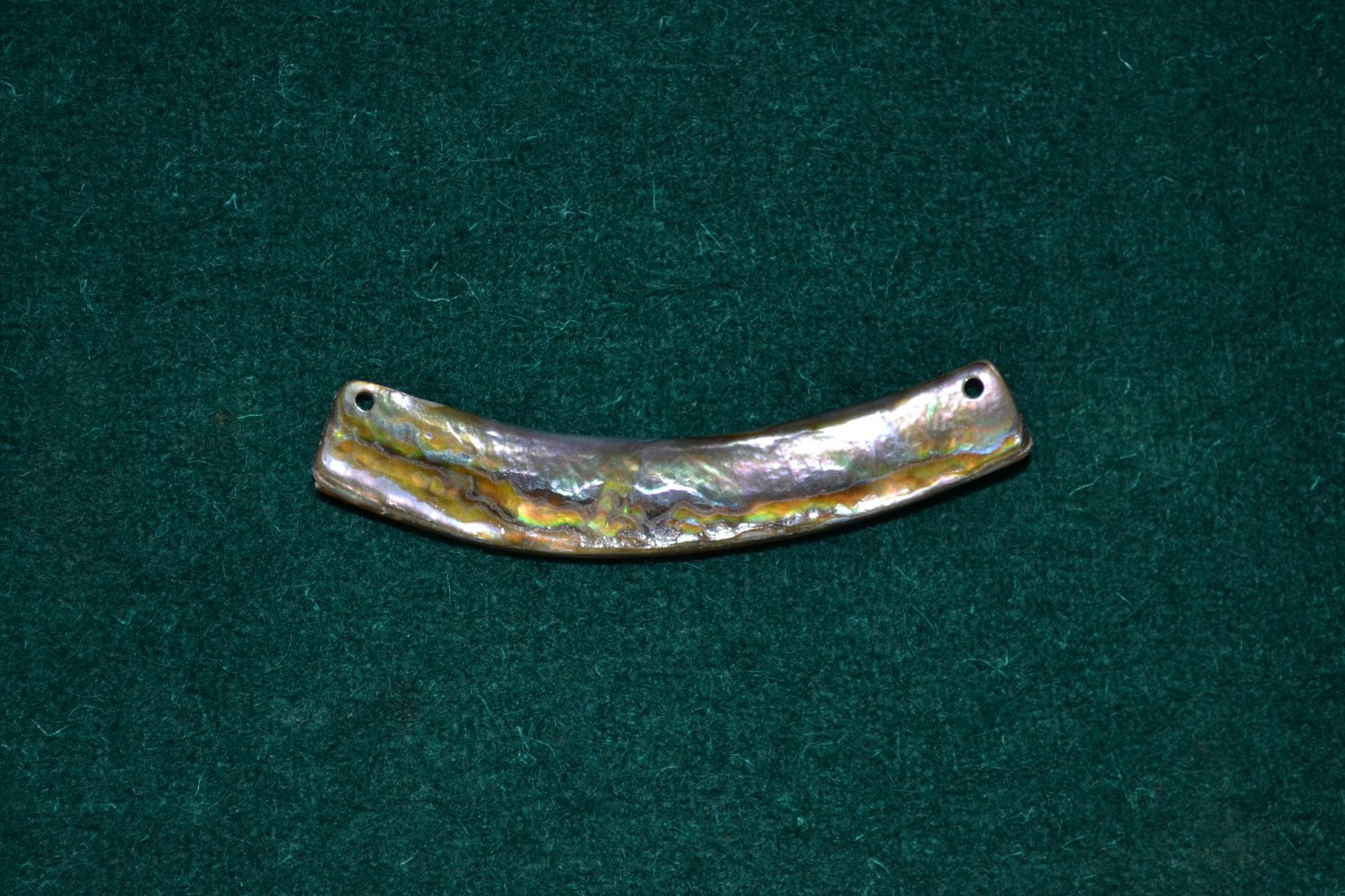 Muschel - Schmuck - Anhänger - Kette