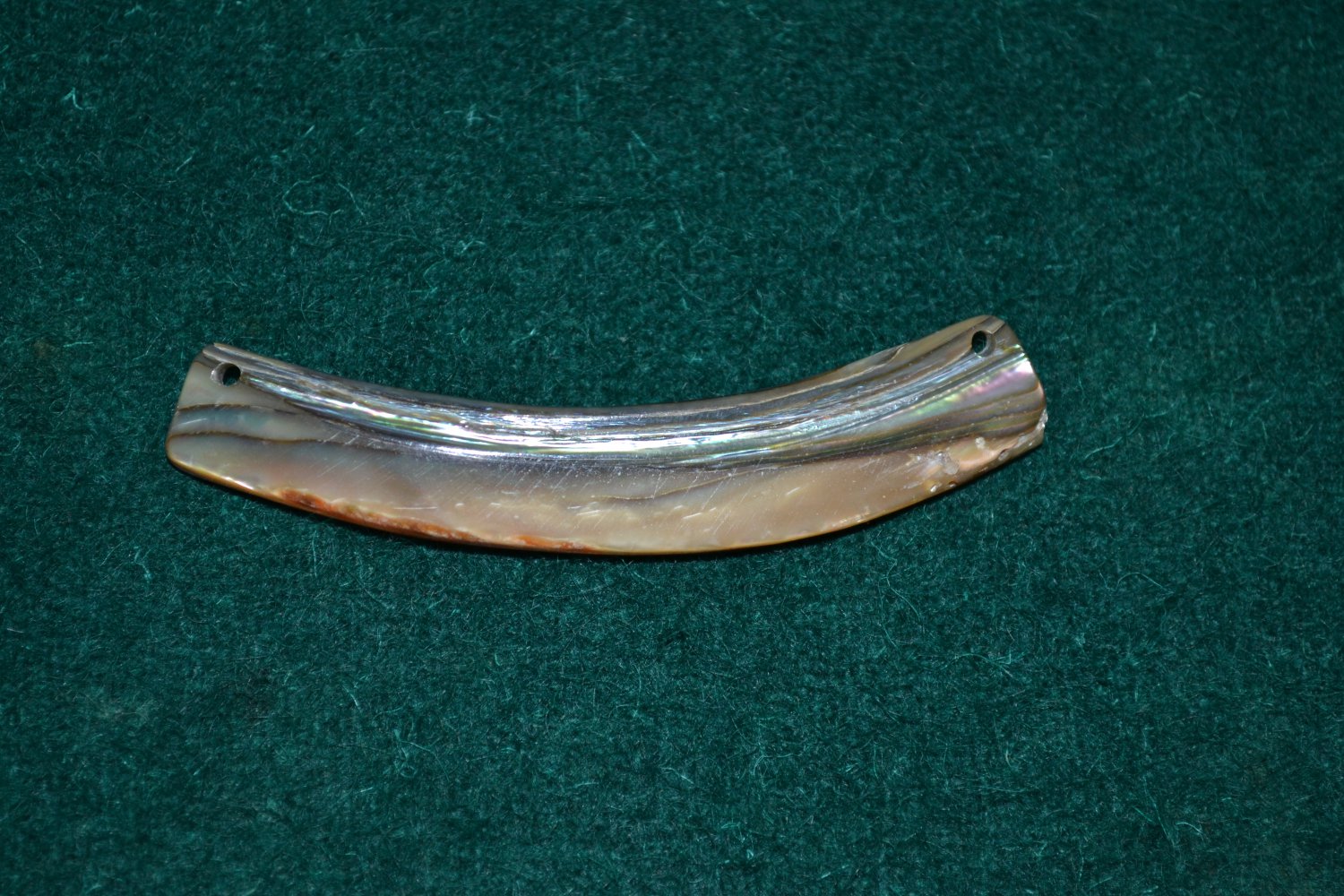 Muschel - Schmuck - Anhänger - Kette