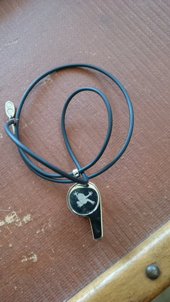 Designschmuck mit Wirkung - Trillerpfeife mit Kautschukkette