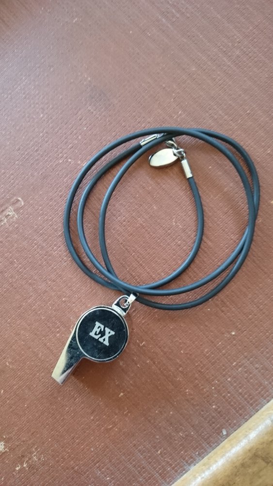 Designschmuck mit Wirkung - Trillerpfeife mit Kautschukkette