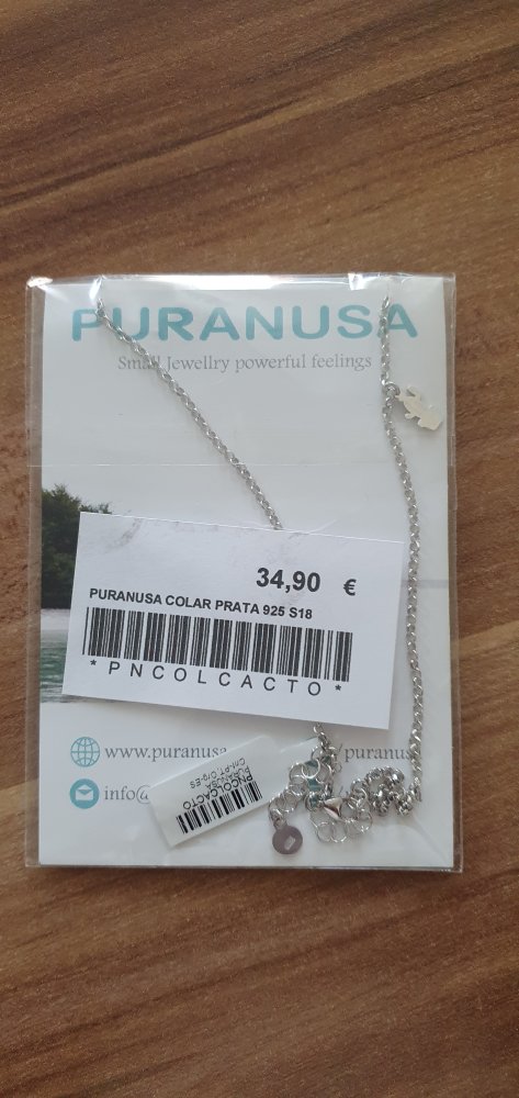 Kette Kaktus Anhänger