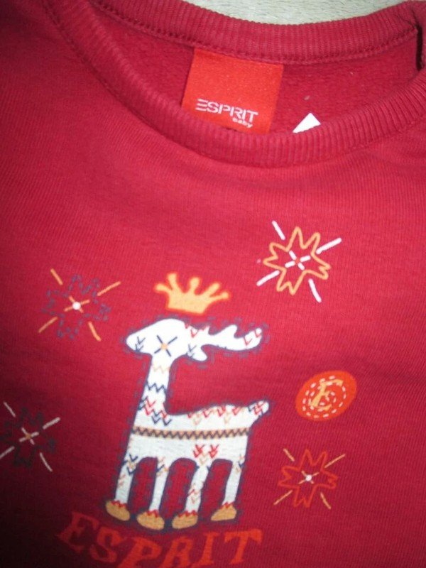 NEU mit ETIKETT * Niedlich * Baby * GIRL oder auch BOY * Unisex * Hirsch- Print * Sweater *  Shirt 