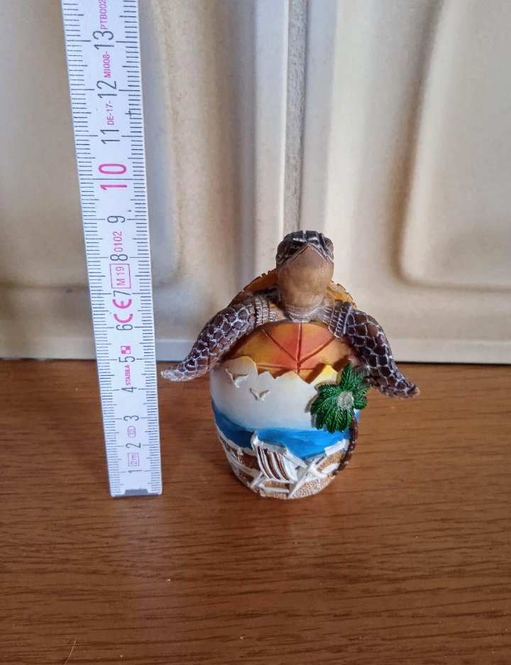 Schildkröte
