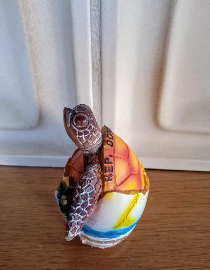 Schildkröte