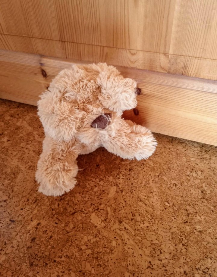 Kuschelhund