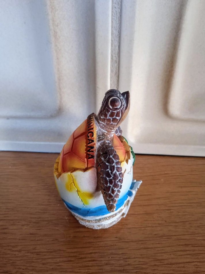 Schildkröte
