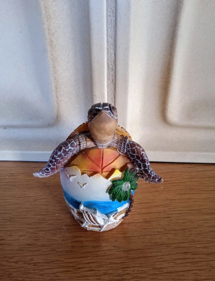 Schildkröte