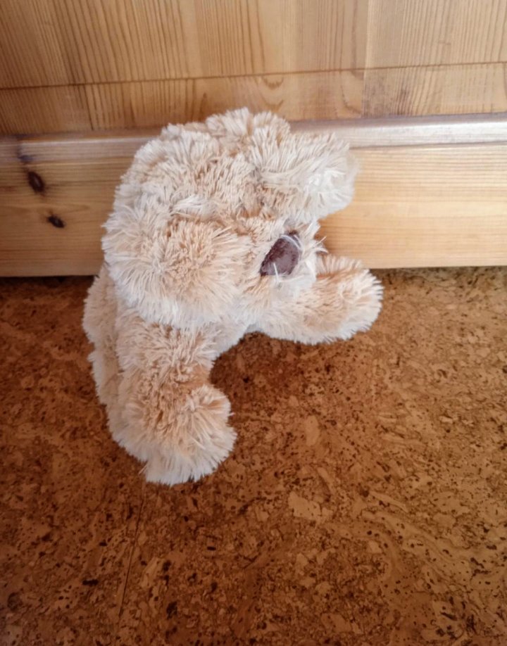Kuschelhund