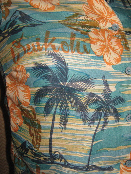  NEUw * Ausgefallen * Original VINTAGE * 50er Jahre Style * Hawai * Blumen * Blüten * Flower- Power * Kurzarm * Hemd- Bluse 